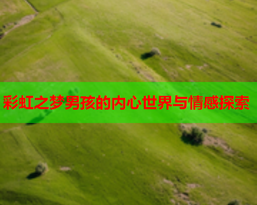 彩虹之梦男孩的内心世界与情感探索