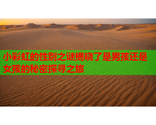 小彩虹的性别之谜揭晓了是男孩还是女孩的秘密探寻之旅