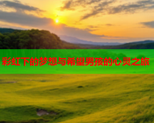彩虹下的梦想与希望男孩的心灵之旅