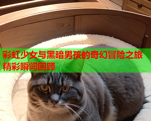 彩虹少女与黑暗男孩的奇幻冒险之旅精彩瞬间回顾