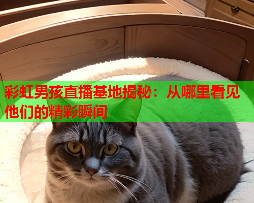 彩虹男孩直播基地揭秘：从哪里看见他们的精彩瞬间