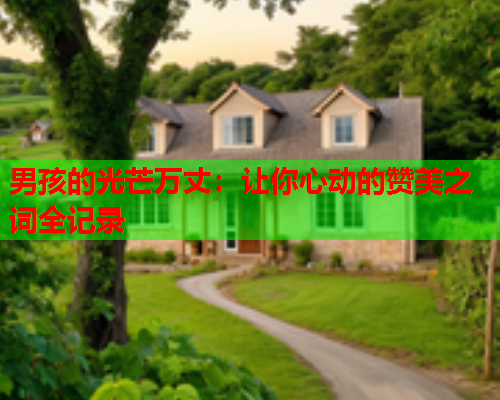 男孩的光芒万丈：让你心动的赞美之词全记录