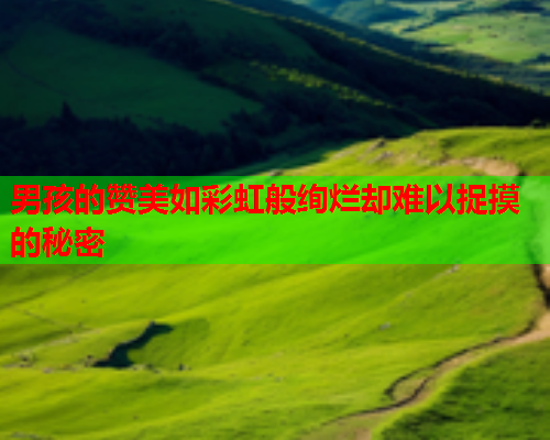 男孩的赞美如彩虹般绚烂却难以捉摸的秘密
