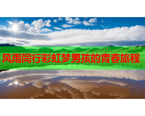 风雨同行彩虹梦男孩的青春旅程